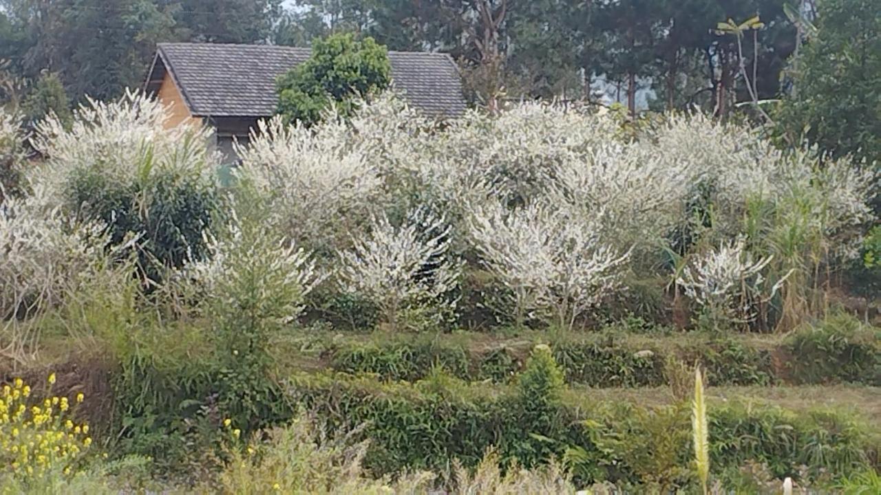 Huy Man Homestay 하 기앙 외부 사진