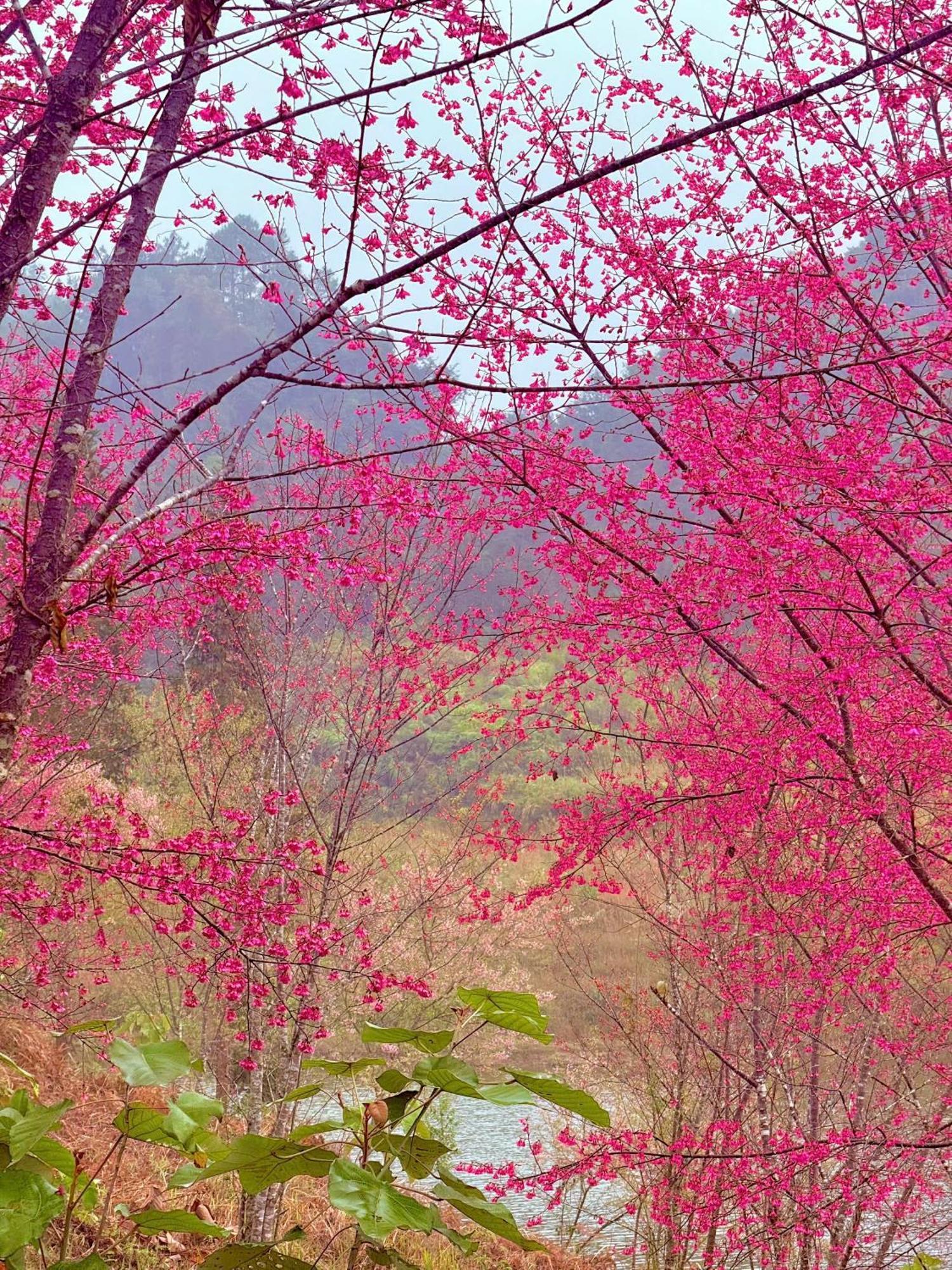 Huy Man Homestay 하 기앙 외부 사진